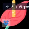 6T体育 logo